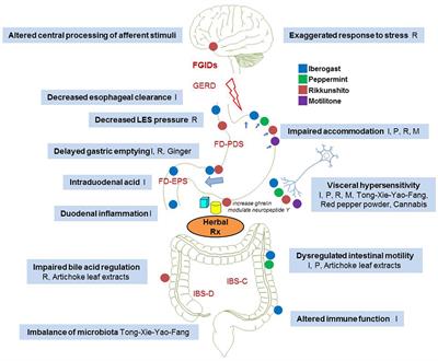 Herbal Therapies in Functional Gastrointestinal Disorders: A Narrative Review and Clinical Implication